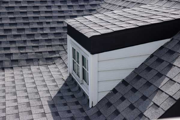 Professional Roof Maintenance Services Professional Roof Maintenance Services