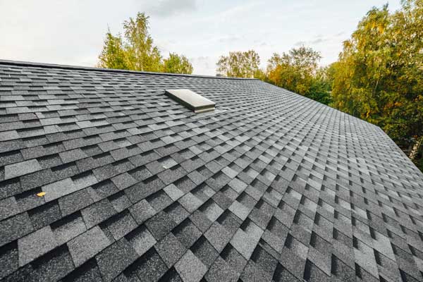 Professional Roofing Services Professional Roofing Services